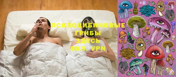 индика Навашино